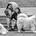 A mother and daughter and their Samoyed