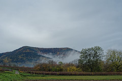 Mist and mountains - Photo of Gresswiller