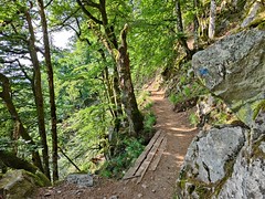 Sentier des Roches in den Vogesen - Photo of Soultzeren