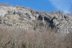 Onnion - Photo of Faucigny