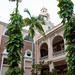 Ferns climb up the palms in the interior courtyard