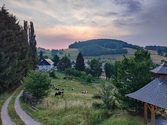 Ausblick vom Ferienhaus bei Orbey (Vogesen) - Photo of Labaroche