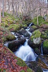 Ruisseau de l-étang d-Artax - Photo of Génat