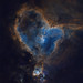 IC1805_The Heart Nebula (narrowband, starless)