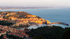 Collioure au petit matin-01 - Photo of Port-Vendres