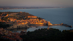 Collioure au petit matin, vue depuis le fort St Elme - Photo of Collioure