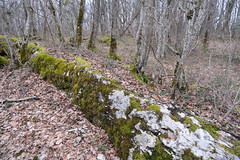 Montagne d-Âge - Photo of Poisy
