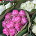 Mercado de Flores de Bangkok, Enero 2024