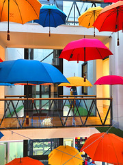 Les parapluies de Cherbourg - Photo of Teurthéville-Hague