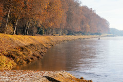 L'automne en bord de Loire