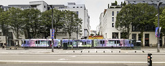 2023_08_29 014 Nantes - Photo of Nantes