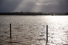 Flooded fields near Roeser