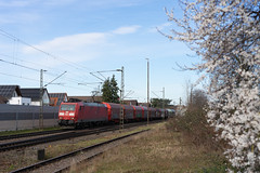 Traxx der DB Cargo am Güterzug in Durmersheim