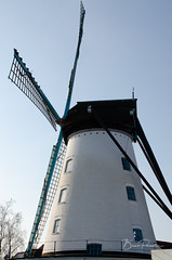 Moulin de Wervik