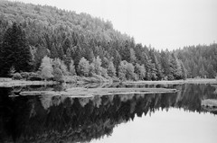 Lispach Lake in Foma - Photo of Xonrupt-Longemer