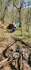 Camping near the Semois / Frahan
