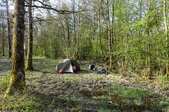 Camping near Beauraing