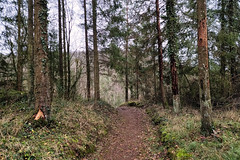 Forest path near Rumelange - Photo of Boulange