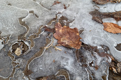 Ice - Photo of Hagen