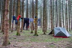 Kayaking the Semois: camping in the trees before Bouillon - Photo of Pouru-aux-Bois