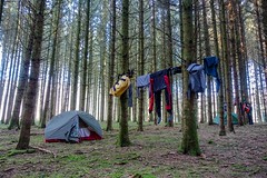 Kayaking the Semois: camping in the trees before Bouillon - Photo of Escombres-et-le-Chesnois