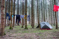 Kayaking the Semois: camping in the trees before Bouillon