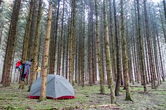 Kayaking the Semois: camping in the trees before Bouillon - Photo of Escombres-et-le-Chesnois