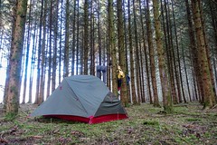 Kayaking the Semois: camping in the trees before Bouillon - Photo of Francheval
