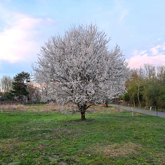 Spring Ô Spring - Photo of Véretz