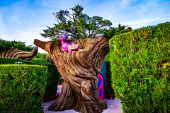 Disneyland Park - Fantasyland - Alice-s Curious Labyrinth (Cheshire Cat) - Photo of Chalifert