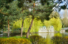 Le jardin de Séoul (Jardin d-acclimatation, Paris) - Photo of Louveciennes