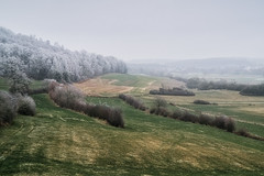 Frosty trees - Photo of Hagen