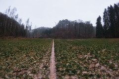Path - Photo of Hagen