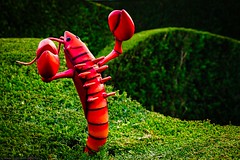 Disneyland Park - Fantasyland - Alice-s Curious Labyrinth (The Lobster) - Photo of Saint-Thibault-des-Vignes