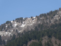Mont de la Buffaz @ Aillon-le-Jeune - Photo of Chamousset