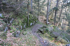 Sentier pédagogique @ Montagne de Chevran @ Arâches-la-Frasse - Photo of Scionzier