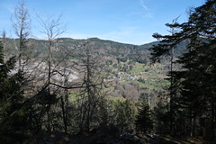 Sentier pédagogique @ Montagne de Chevran @ Arâches-la-Frasse - Photo of Nancy-sur-Cluses