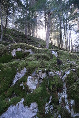 Sentier pédagogique @ Montagne de Chevran @ Arâches-la-Frasse - Photo of Samoëns