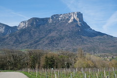 Mont Granier @ Les Marches @ Porte-de-Savoie - Photo of Villard-Sallet