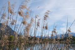 Lac de Saint-André @ Porte-de-Savoie - Photo of Pontcharra