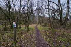 Belvaux Differdange MTB Trail - Photo of Longlaville