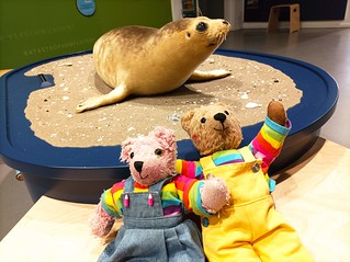 meine Teddys sind mal ganz nah an einer Robbe. Dieses Tier kann sie nicht beißen, es liegt in einer Ausstellung über das Wattenmeer in Husum.