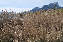 Lac de Saint-André @ Porte-de-Savoie - Photo of Jacob-Bellecombette