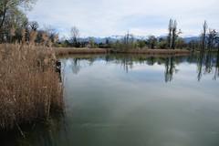 Lac de Saint-André @ Porte-de-Savoie - Photo of Saint-Alban-Leysse