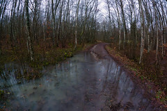 Almost flooded track - Photo of Herserange