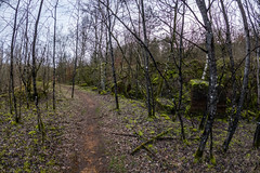 Belvaux Differdange MTB Trail - Photo of Chenières