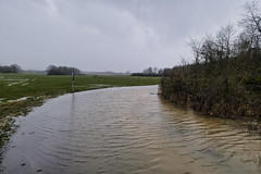 Flooded way - Photo of Saulnes