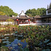 上海 松江 醉白池  [Zuibaichi Garden, Songjiang, Shanghai]