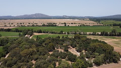 Dry and wet (irrigated) Crau, south of France - Photo of Lamanon