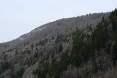 Montagne de Lachat @ Dingy-Saint-Clair - Photo of Évires